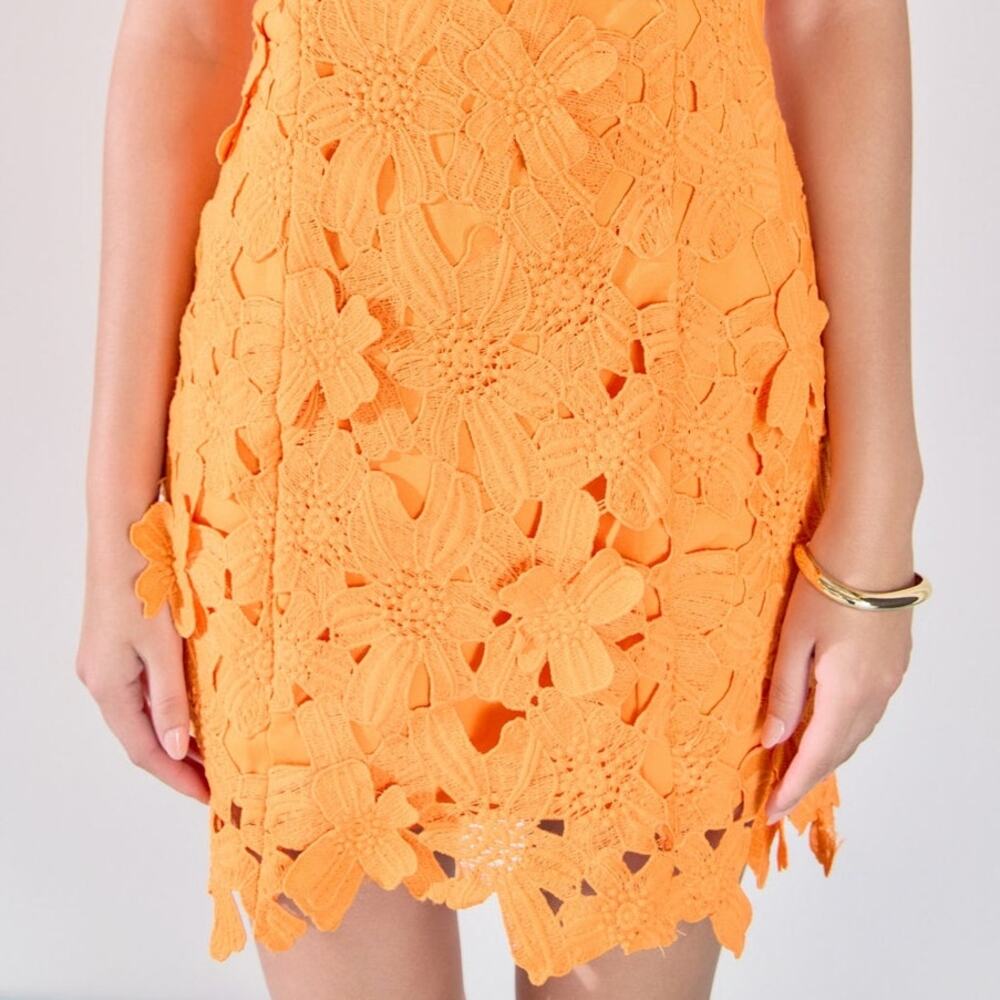 Endless Rose Anthropologie Cocktail Floral Embroidered 3D Lace Mini Dress Size S - Picture 2 of 14